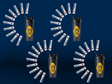 Pittsburgh Specials - Immaculate Reception Shaker Bottle with 10 PittsburghAde sticks